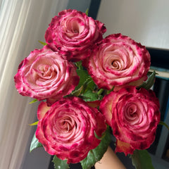 WatercolorPenRosePlant