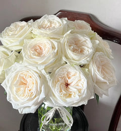 White O'Hara Roses: Elegant Blooms with Unmatched Fragrance for Weddings and Gardens