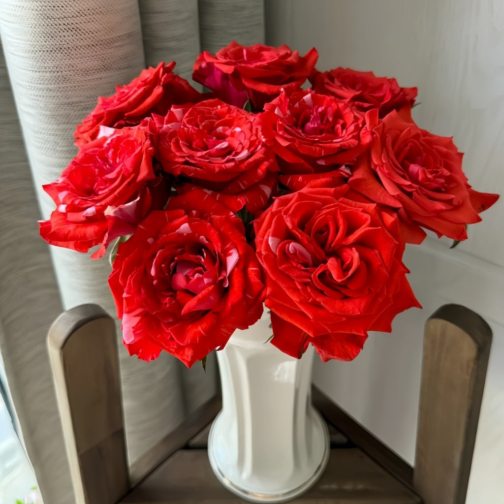Wild Roses Wildcat Wild Cat Rose|野猫 – Rose_Explosion
