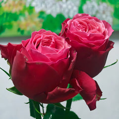 XiChun_CherrySpring_Rose