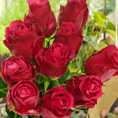 XiChun_CherrySpring_Rose