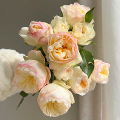 Xiaoliwo Rose