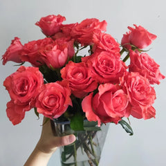 Yu Haitang Rose Plan