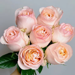 Yunxing Rose