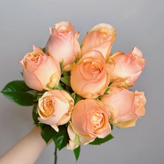 Yunxing Rose