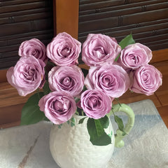 Zidi Rose Plant|紫菂