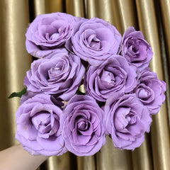 Zidi Rose Plant|紫菂