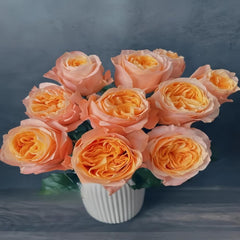 Enchanting Imagine Rose Plant for a Dreamy Garden